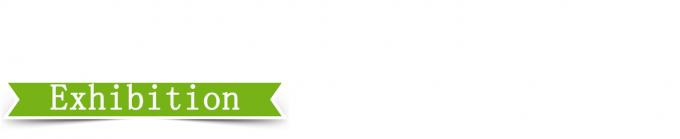 25T উচ্চ নিয়ন্ত্রণ নির্ভুলতা প্লেট ভলকানাইজিং প্রেস 4