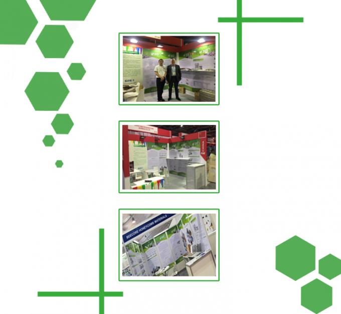 25T উচ্চ নিয়ন্ত্রণ নির্ভুলতা প্লেট ভলকানাইজিং প্রেস 5