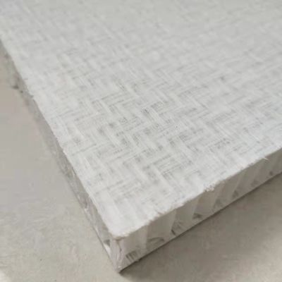 হালকা ওজন FRP মধুচক্র স্যান্ডউইচ প্যানেল 1000x2000mm